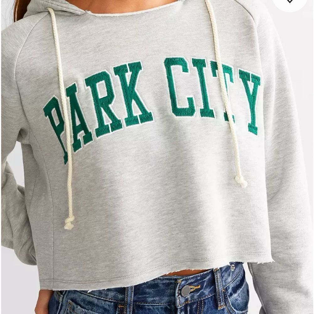 Fitz + Eddi Parck City Cropped‎ Hoodie Sz L Gray Raw Hem Fleece Lined